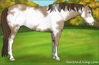 Horse Color:Classic Champagne Frame 