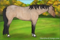 Horse Color:Brown Roan Dun 