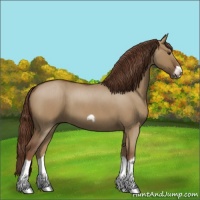 Horse Color:Red Dun Roan Splash Frame Rabicano