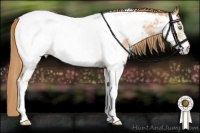 Horse Color:White Spotted Gold Champagne Appaloosa 