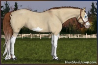 Horse Color:Red Dun Roan Splash Frame Rabicano 