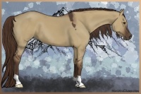 Horse Color:Liver Red Dun 