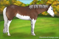 Horse Color:Silver Brown Splash 