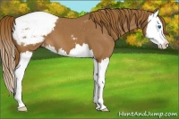 Horse Color:Red Roan Splash Snowcap 