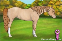 Horse Color:Gold Champagne Roan 