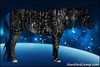 Horse Color:ERROR: UNKNOWN ANOMALY and ERROR: UNKNOWN ANOMALY