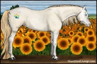 Horse Color:Buckskin Roan Pearl and Buckskin Roan Pearl Splash