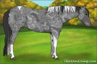 Horse Color:Black Ice Tobiano 