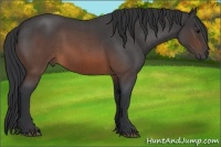 Horse Color:Brown Roan