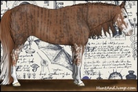 Horse Color:Liver Chestnut Sabino Splash  and Chestnut Sabino Splash 