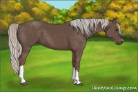 Horse Color:Silver Black 