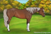 Horse Color:Silver Brown 