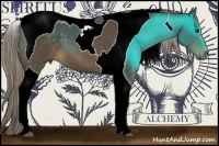 Horse Color:Chocolate Palomino Tobiano