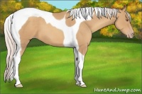 Horse Color:Silver Classic Champagne Tobiano 