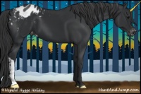 Horse Color:Black Appaloosa