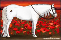 Horse Color:Smoky Creme Splash Tobiano Frame 