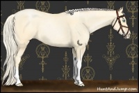 Horse Color:Palomino Roan Pearl Tobiano  and Palomino Roan Pearl Tobiano 