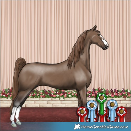 Horse Color:Liver Red Dun
