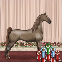 Horse Color:Liver Red Dun