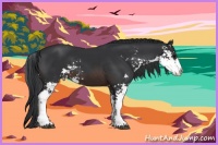 Horse Color:Brown Sabino 