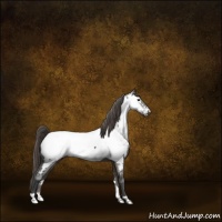 Horse Color:Smoky Grullo Near Fewspot Brindle