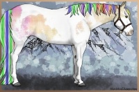 Horse Color:Painted Plaid  Liver Red Dun Splash Tobiano 