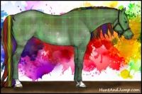 Horse Color:Painted Plaid Liver Red Dun