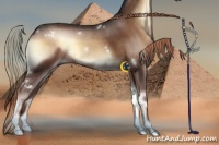 Horse Color:White Spotted Liver Red Onyx Rabicano