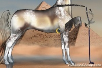 Horse Color:White Spotted Liver Red Onyx Splash Rabicano 