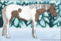 Horse Color:Silver Black Tobiano