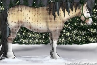 Horse Color:Plaid  White Spotted Liver Red Dun Onyx 