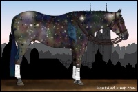 Horse Color:ERROR: UNKNOWN ANOMALY and ERROR: UNKNOWN ANOMALY