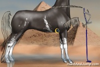 Horse Color:White Spotted Liver Chestnut Splash 