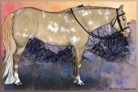 Horse Color:White Spotted Liver Red Dun Sabino Brindle