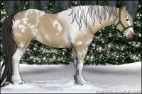 Horse Color:White Spotted Liver Red Dun 