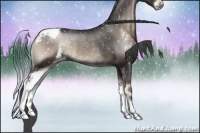 Horse Color:Blue Onyx Sabino Snowflake VarnishRabicano 