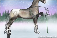 Horse Color:Blue Onyx Appaloosa Rabicano 