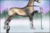 Horse Color:Brown Onyx Sabino Appaloosa