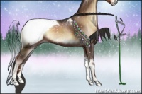 Horse Color:Liver Red Onyx Sabino Appaloosa 