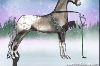 Horse Color:Blue Onyx Appaloosa 