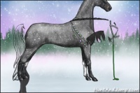 Horse Color:Blue Roan Sabino Appaloosa 