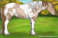 Horse Color:White Spotted Liver Chestnut Pearl Tobiano