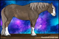 Horse Color:Chocolate Palomino Sabino Splash 