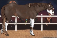 Horse Color:Liver Chestnut Sabino  and Liver Chestnut Sabino Splash 
