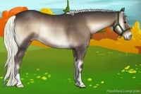 Horse Color:Liver Red Onyx