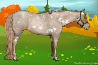 Horse Color:White Spotted Liver Red Roan Pearl