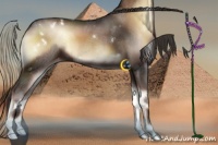 Horse Color:White Spotted Liver Red Onyx Appaloosa