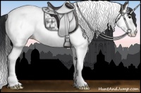 Horse Color:Grullo Splash Tobiano 