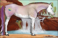 Horse Color:Painted Buckskin Pearl Splash 