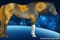Horse Color:Smoky Black